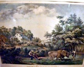 DSC 0837 Large Web view Large Web view