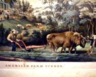 DSC 0838 Large Web view Large Web view