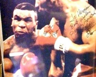 DSC 0681 Large Web view Large Web view