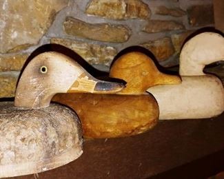 Antique Duck Decoys