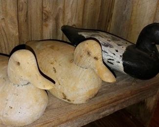 Antique Duck Decoys