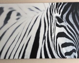 Zebra Canvas