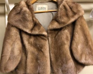 Lloyd's Fur