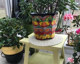 Large selection of planters and plants