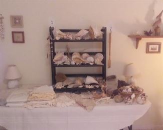 Some of the Shells & Linens