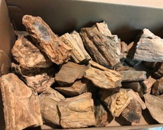 Box full of petrified wood fossils 