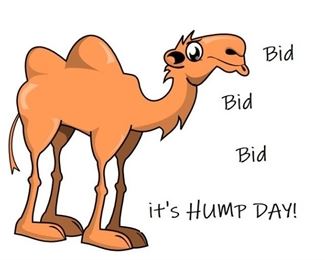 A2B Camel its HUMP DAY