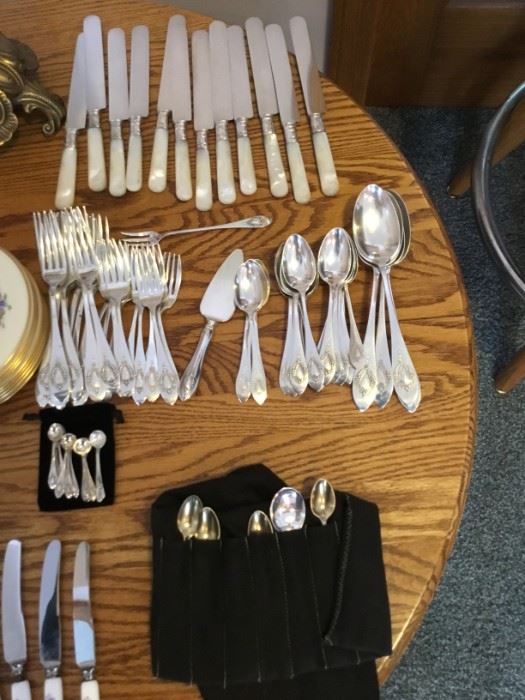 MS Estate Sale by Caring Transitions of Chippewa... starts on 2/1/2020