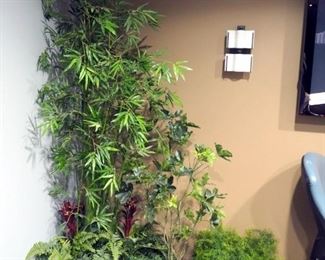 Artificial Plant Assortment, Including 6' Bamboo, Green Leafy Plant, Springerari, And More