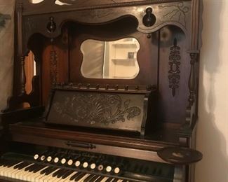 Gorgeous Organ