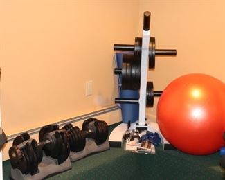 Free Weights and Rack, Dumb Bells and Exercise Ball