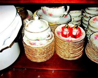 Edelstein Bavaria Bone China---full 100 pc set. Delphine Pattern