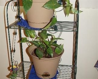 plant stand and plants