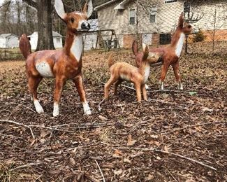 Who's Watching for deer