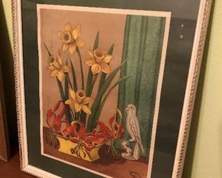 "CROCUS & DAYLILLIES" FRAMED PRINT
