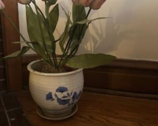 Flower Pot