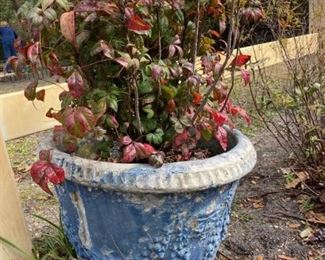 Blue Cement Pot #2 https://ctbids.com/#!/description/share/324188