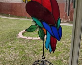 Polly wanna Cracker?  And imagine that????  Five minutes later he attacked me because he thought I was a cracker...