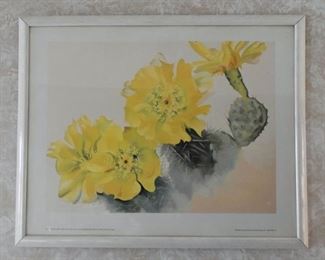 Framed Art Print - Georgia O'Keeffe
