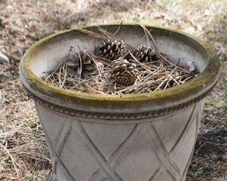 Flower Pots & Planters