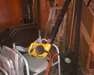 friendly one-legged spider