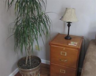 Oak 2 Drawer File Cabinet