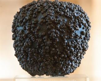 Amy Goodman bronze bule' gourd, Martha Stewart Living Legacy award, given to Mya Angelou