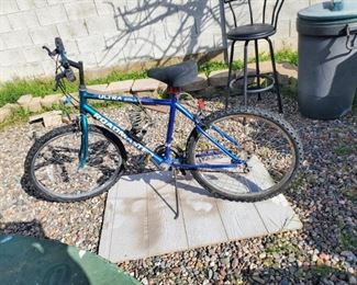 Roadmaster Bike