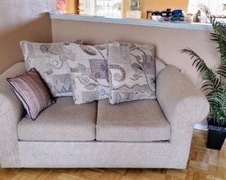Loveseat (sleeper Sofa)