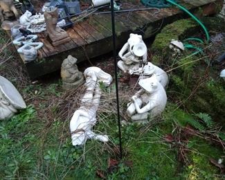 frog gathering
