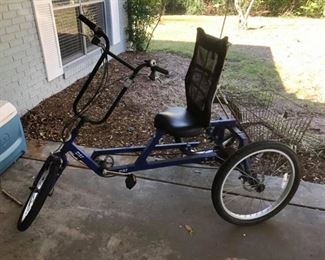 Adult Tricycle
DX7