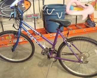 Garage:  A GIANT "Rincon" girl's bike is ready for the road...or mountains.