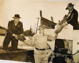 Anyone know what these men are holding? This is a 50-60s photo. The back of the photo says Rutz in Calhoun being sent to Hawkinsville and surrounding county.