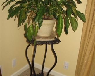 One of the Many Potted Plants & Stands...