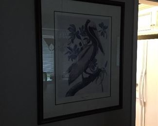 One of Several Nice Pictures...