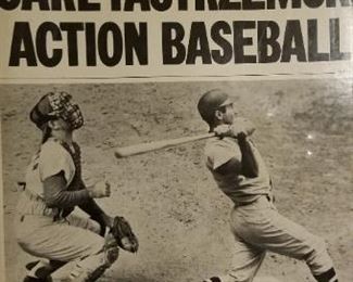 Play ball with Yaz!!