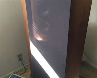 Infinity speaker pair