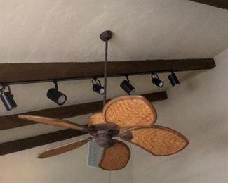 Ceiling fan and track lighting all for sale...