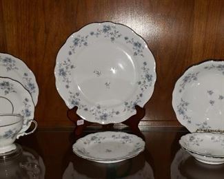 Johann Haviland (Bavarian Backstamp) Beautiful graceful dinnerware pattern accented with delicate flowers and glistening platinum trim.