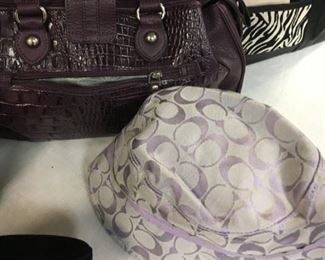 Purple Coach hat and purple purse to go with