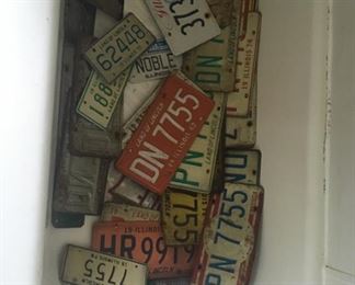 Large collection of license plates