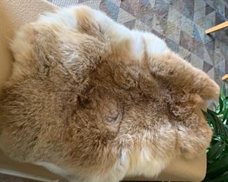 Native American Animal Hide Art