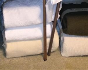 It's blanket weather!