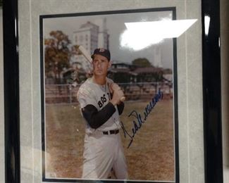 Ted Williams signed picture
26" by 22"
$75.00