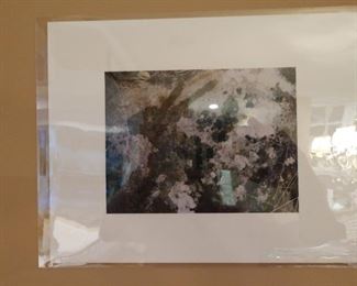 Picture
Robert Janz
H2O on Rock
Spain
$40.00
