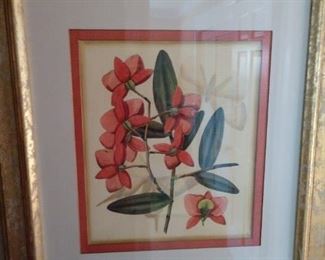 Framed orchids.
30" by 33"
$150.00