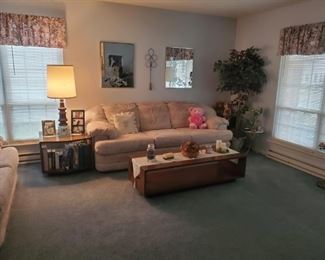 Very comfortable sofas. There are 3 in the home. Client may be taking one or two