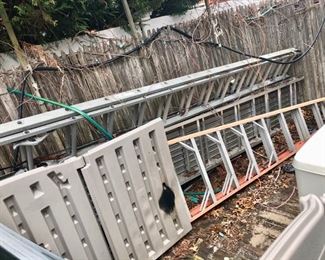 Scafolding & tall ladders 