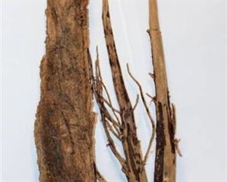 Driftwood and Dried Moss Wood