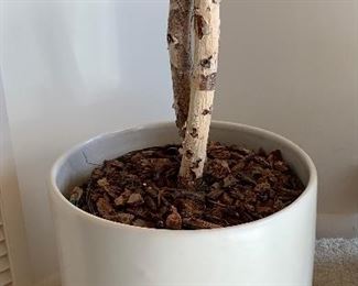 Faux Plant in Pot 72in H x 15in Diameter